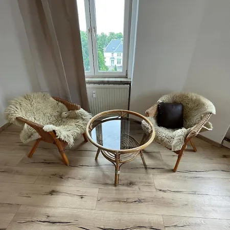 Schönes Mit Infrarot Sauna Und Balkon Apartment Plauen